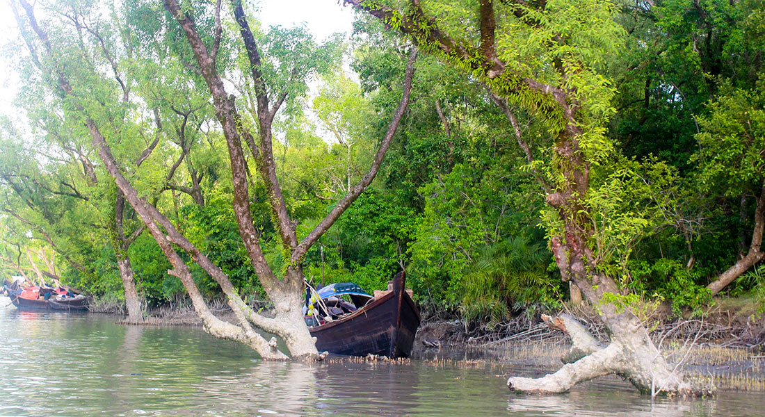 টেংরাগিরি ইকোপার্ক